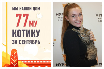 Всего за два месяца Механик стал счастливым!