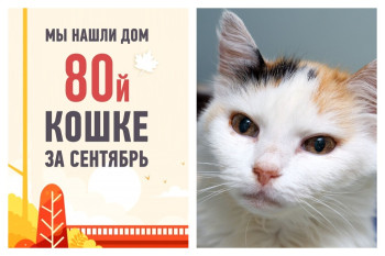 Марфа отправляется жить к своему спасителю!