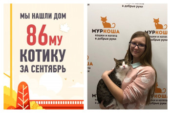 Свой дом и хозяйка появились и у Зиновия!