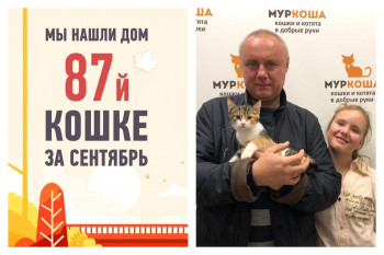 У крошки Бенисы появилась семья!