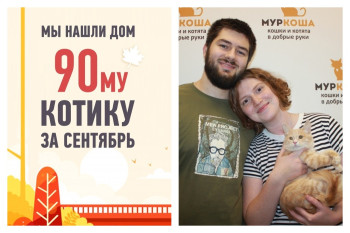 Всего за 2 недели мы нашли дом Бернару!