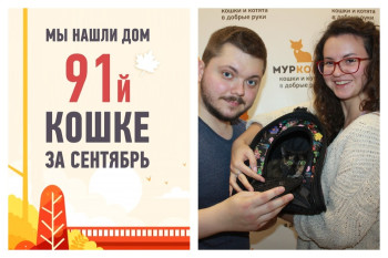 91 выпускницей приюта в сентябре становится кошка Скитлс!
