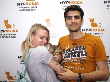 Выставка «Неслучайная встреча» в приюте