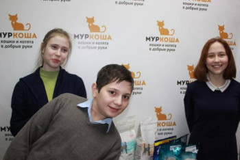 Ученики ГБОУ Школа 1411 УК761 порадовали наших котиков своими подарками