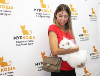 Приют "Муркоша" посетила победительница конкурса красоты "Mrs/Ms Russia Earth 2018"