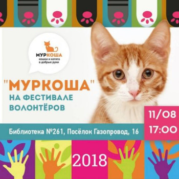 "Муркоша" на фестивале волонтеров