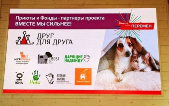 "Муркоша" на форуме "Вместе ради перемен"