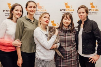 "Муркоша" в совместном благотворительном проекте "Забери друга домой"
