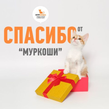 Люди, благодаря которым мир стал чуточку добрее(15 ноября)
