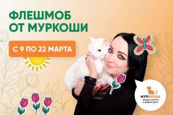 Расписание прямых эфиров из "Муркоши" на март!