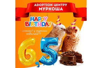 Adoption центру "МУРКОША" 6,5 лет!