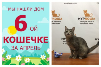 Спустя полтора месяца домой отправилась красавица Фруктоза!