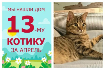 Крошка Бутон уезжает в новый дом!