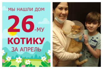 Котёнок Смелый стал частью прекрасной семьи!