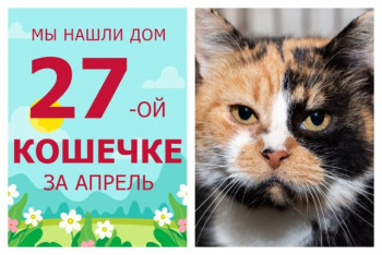 У ласковой кошечки Ушани появилась любящая хозяйка!