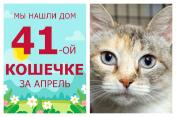У пятилетней красавицы Мейси появилась любящая семья!