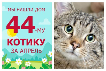 Двухлетний Барон стал домашним котиком!