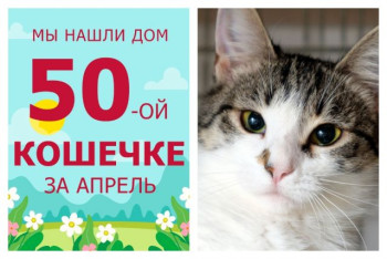 Десятимесячная Эмилия стала домашней любимицей!