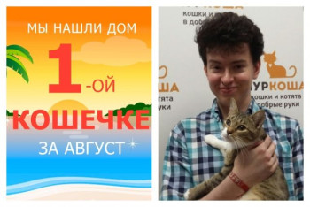 Аппетитная кошечка Чебурека отправилась домой!