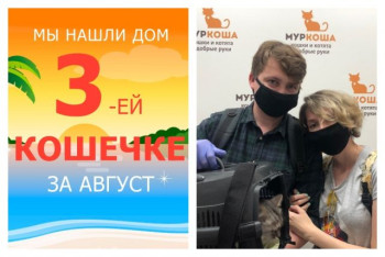 Кошечка Руби встретила ответственных хозяев!