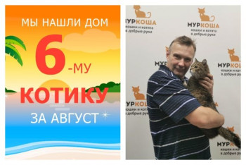 Котик Вареник, певец и красавец, встретил заботливого хозяина!