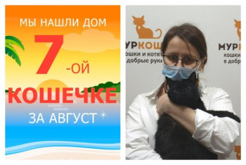 Кошечка Нора стала домашней и счастливой!