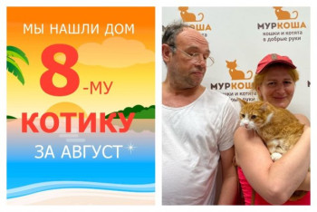Ласковый котик Гошик отправился в новый дом!