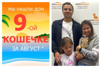 У кошечки Перчинки появилась любящая семья!