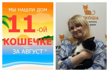 Кошечка Новетта начинает новую жизнь!