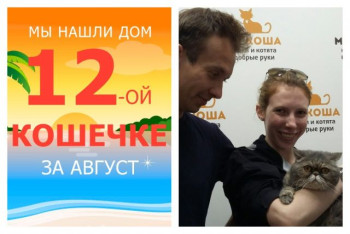 Восьмилетняя София теперь домашняя и любимая!