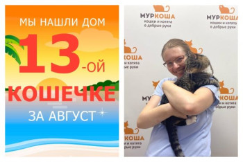 Милая Луша начинает жизнь с чистого листа!