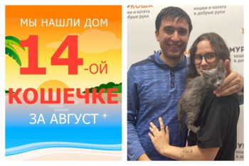 Прекрасная кошечка Брунхильда встретила свою семью!