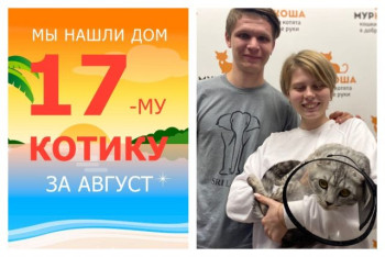 Котик Васяша стал снова домашним любимцем!