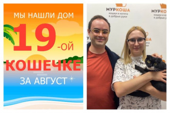 Черничка обрела новый дом за два месяца!
