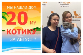 Пятилетний Брошкин начинает новую жизнь!