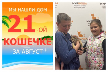 Малышка Анхелика теперь домашняя и любимая!