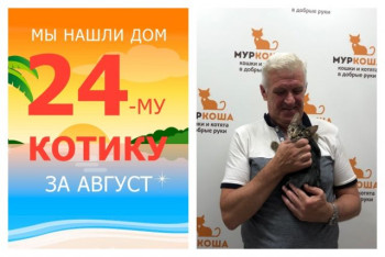 Уезжает в новый дом котенок Мелочь!