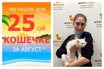 Кошечка Очаровашка нашла дом за один месяц!