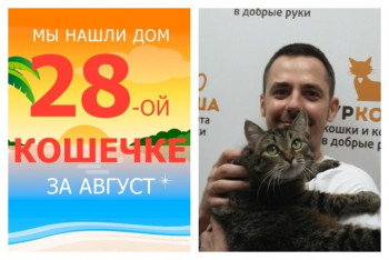 Кошечка Агнес встретила любящего хозяина!