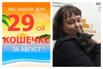 У кошечки Варьки появились дом и семья!