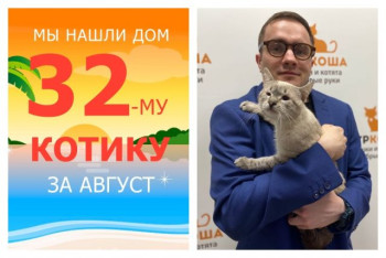 Восьмимесячный котик Мистер Икс встретил верного друга!