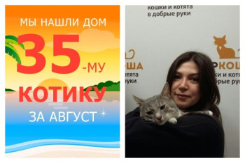 Котик Атаман встретил своих заботливых хозяев!