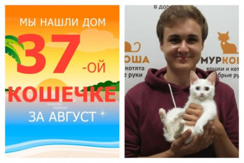 Прекрасная кошечка Свечка отправилась домой!