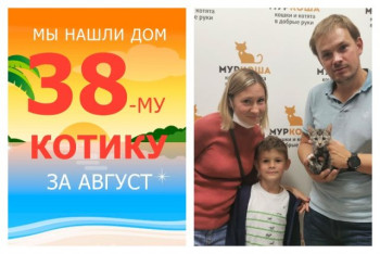 Котёнок Лермонт стал домашним за две недели!