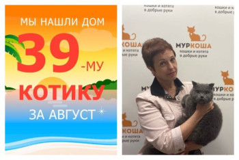 Очаровательный Николаша уезжает в новый дом!