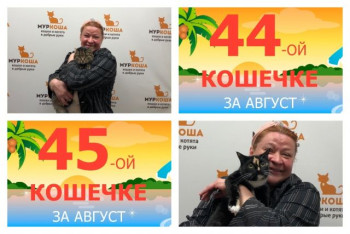 Кошечки Александра и Барсела начинают новую главу домашней жизни!