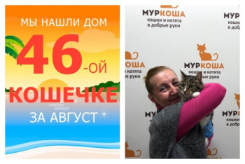 Кошечка Бусина начинает новую жизнь!
