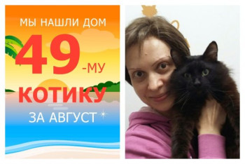 Котик Бамс встретил ответственную хозяйку!