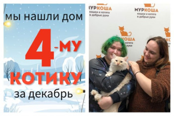 Милый Нольд уезжает в новый дом!