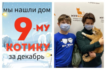 Кот Миндаль познакомился со своей новой семьей!
